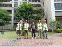 公司风彩